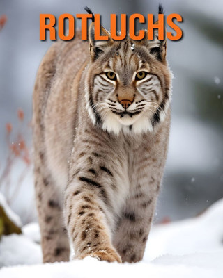 Rotluchs: Lustige und faszinierende Fakten und Bilder Ã¼ber Rotluchs