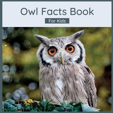 Owl Facts Book For Kids: Owl Children's Book