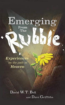 Emerging From The Rubble: The Experiences Of A Community On The Path To Heaven - 9781839755439