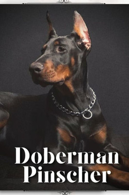 Doberman Pinscher: Dog breed overview and guide