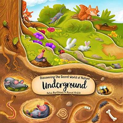 Discovering The Secret World Of Nature Underground (Happy Fox Books) Board Book Takes Kids Ages 2-5 Deep Into The Ground With Every Turn Of The Page, Plus Fun Facts And Vocabulary Words (Peek Inside)