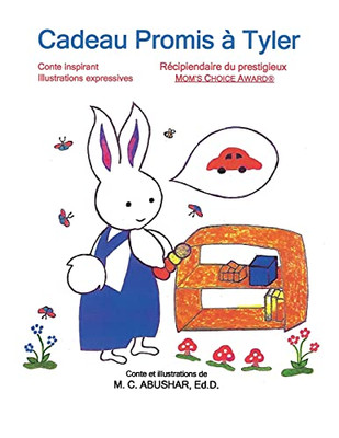 Cadeau Promis A Tyler: Conte Inspirant, Illustrations Expressives. (Tyler, Le Lapin) (French Edition) - 9781736864289