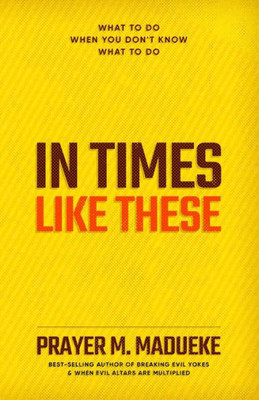 In Time Like These: What to do when you don't know what to do