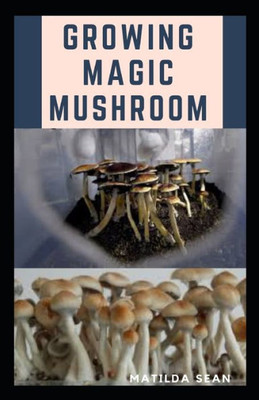 Growing Magic Mushroom: Step by steps guide on how to decides, select and grow mushroom on your own