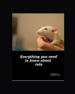 Everything you need to know about rats