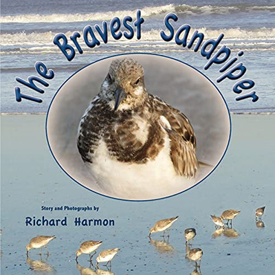 The Bravest Sandpiper - 9781737258100
