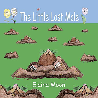 The Little Lost Mole - 9781919641928