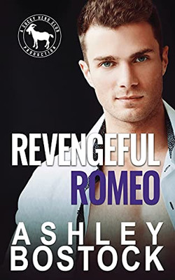 Revengeful Romeo: A Hero Club Novel