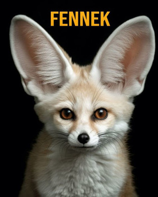 Fennek: Buch mit lustigen Fakten für Kinder