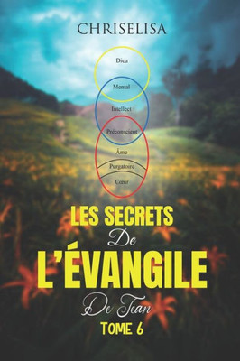 Les Secrets de l'Évangile de Jean: Tome 6
