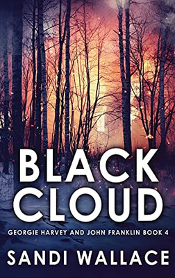 Black Cloud: Large Print Hardcover Edition (Georgie Harvey And John Franklin)