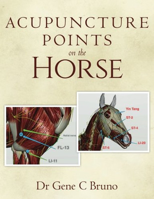 Acupuncture Points On The Horse