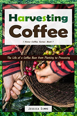 Harvesting Coffee: The Life Of A Coffee Bean From Planting To Processing (I Know Coffee)