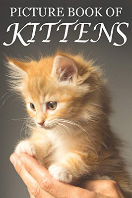 Picture Book Of Kittens: Picture Book Of Kittens: For Seniors With Dementia [Cute Picture Books]