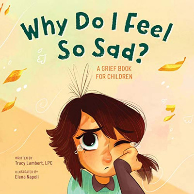 Why Do I Feel So Sad?: A Grief Book For Children