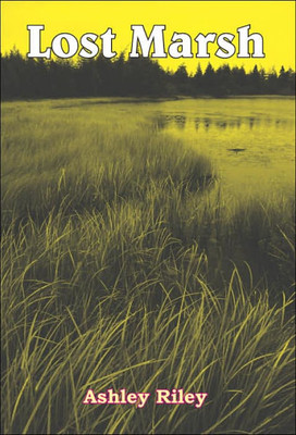 Lost Marsh