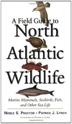 A Field Guide To North Atlantic Wildlife: Marine Mammals, Seabirds, Fish, And Other Sea Life