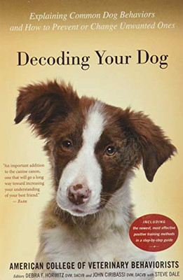 Decoding Your Dog: Explaining Common Dog Behaviors And How To Prevent Or Change Unwanted Ones