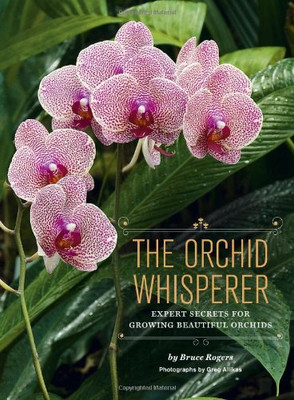 The Orchid Whisperer: Expert Secrets For Growing Beautiful Orchids (Orchid Potting, Orchid Seed Care, Gardening Book)