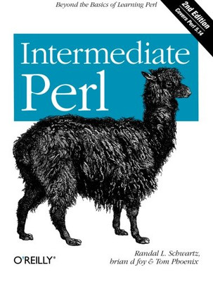 Intermediate Perl: Beyond The Basics Of Learning Perl