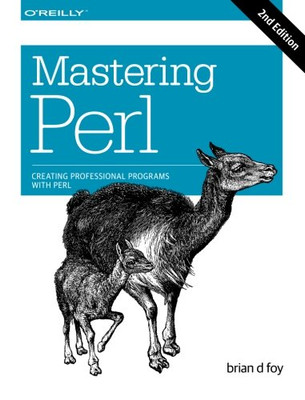 Mastering Perl: Creating Professional Programs With Perl