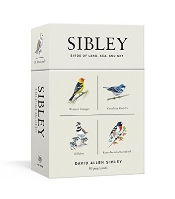 Sibley Birds Of Land, Sea, And Sky: 50 Postcards