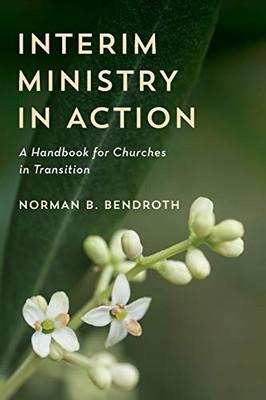 Interim Ministry In Action: A Handbook For Churches In Transition