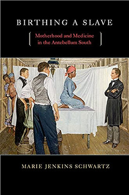 Birthing A Slave: Motherhood And Medicine In The Antebellum South