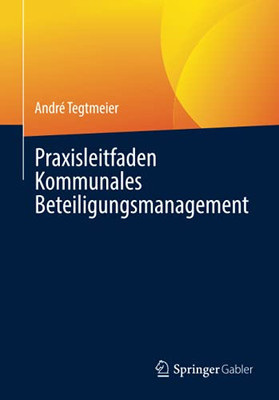 Praxisleitfaden Kommunales Beteiligungsmanagement (German Edition)