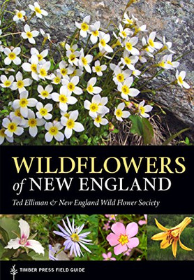 Wildflowers Of New England (A Timber Press Field Guide)