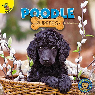 Top Puppies: Poodle Puppies � Rourke NonFiction Reader, Grades PK�2