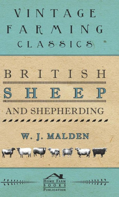 British Sheep And Shepherding