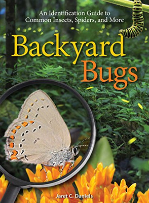 Backyard Bugs: An Identification Guide To Common Insects, Spiders, And More