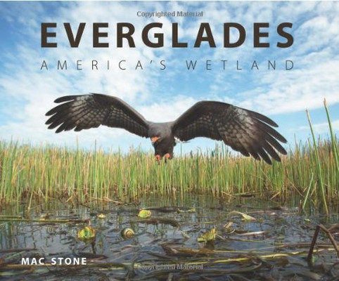 Everglades: America'S Wetland