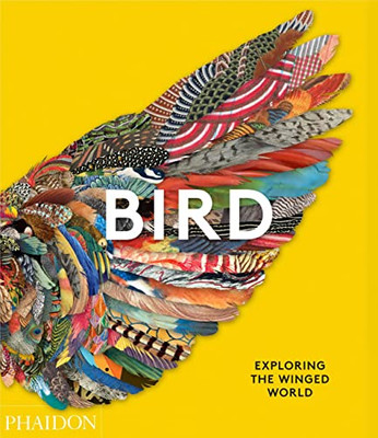 Bird: Exploring The Winged World