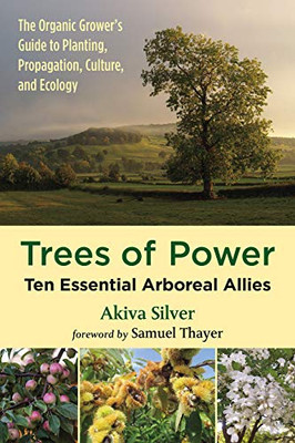 Trees Of Power: Ten Essential Arboreal Allies