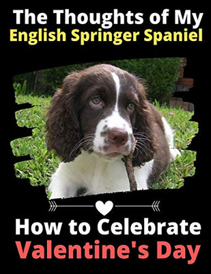 The Thoughts of My English Springer Spaniel: How to Celebrate Valentine's Day