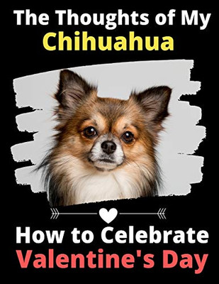 The Thoughts of My Chihuahua: How to Celebrate Valentine's Day