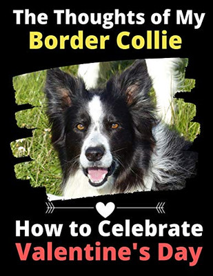 The Thoughts of My Border Collie: How to Celebrate Valentine's Day