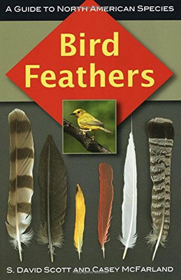 Bird Feathers: A Guide To North American Species