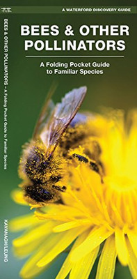 Bees & Other Pollinators: A Folding Pocket Guide To Familiar Species (Wildlife And Nature Identification)