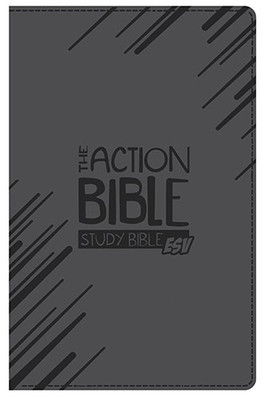 The Action Bible Study Bible Esv (Gray)