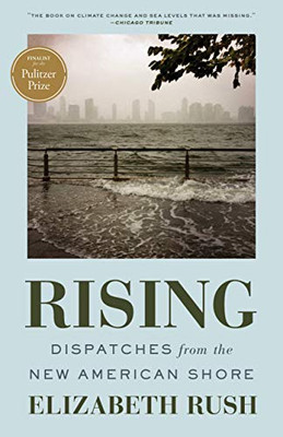 Rising: Dispatches From The New American Shore