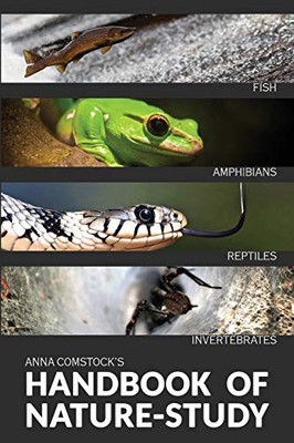 The Handbook Of Nature Study In Color - Fish, Reptiles, Amphibians, Invertebrates