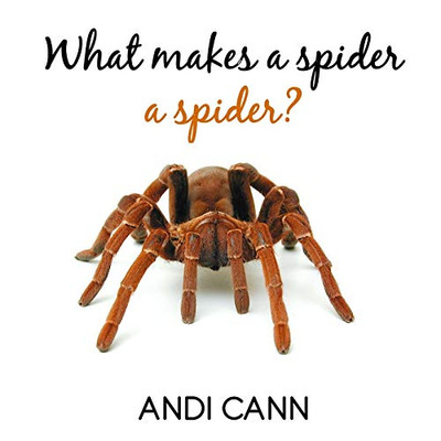 What Makes a Spider a Spider (Animal Classes)