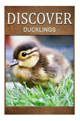 Ducklings - Discover: Early reader's wildlife photography book