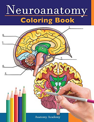 Neuroanatomy Coloring Book: Incredibly Detailed Self-Test Human Brain Coloring Book For Neuroscience | Perfect Gift For Medical School Students, Nurses, Doctors And Adults