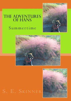 The Adventures of Hans: Summertime