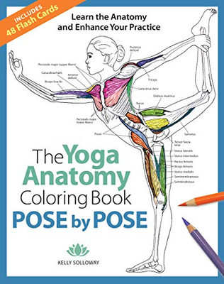 Pose By Pose: Learn The Anatomy And Enhance Your Practice (Volume 2) (The Yoga Anatomy Coloring Book)
