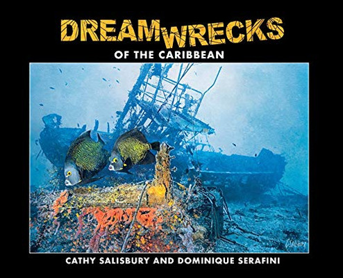 Dreamwrecks Of The Caribbean: Diving The Best Shipwrecks Of The Region - Hardcover